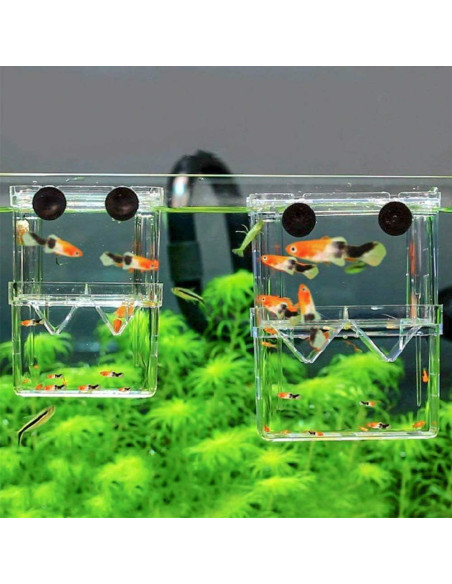 Caja de Cría de Peces Senzeal Mediana con Ventosas y Pipetas