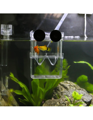 Caja de Cría de Peces Senzeal Mediana con Ventosas y Pipetas