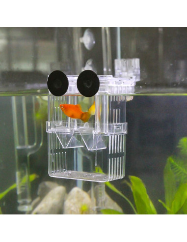 Caja de Cría de Peces Senzeal Mediana con Ventosas y Pipetas