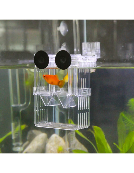 Caja de Cría de Peces Senzeal Mediana con Ventosas y Pipetas