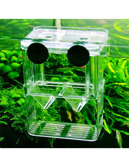 Caja de Cría de Peces Senzeal Mediana con Ventosas y Pipetas