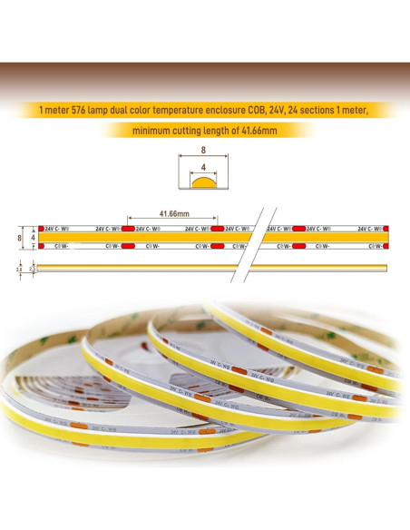 Tira de luz LED COB Pandery 3m CCT 2700K-6500K control APP Tira de luz LED COB Pandery 3m CCT 2700K-6500K control APP