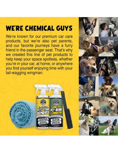 Cepillo Eliminador de Pelo de Mascotas Chemical Guys ACC_S06 - Negro