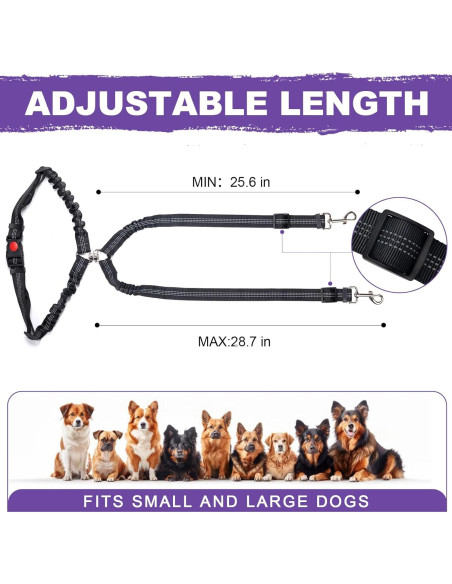 Cinturón de Seguridad para Perros en Carro de Golf Zhizaiql