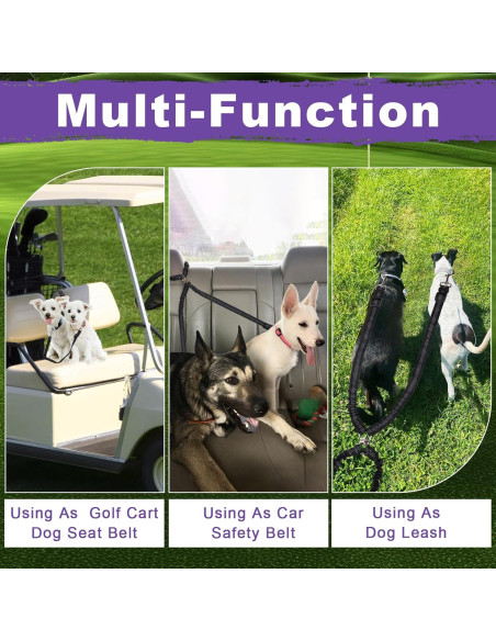 Cinturón de Seguridad para Perros en Carro de Golf Zhizaiql