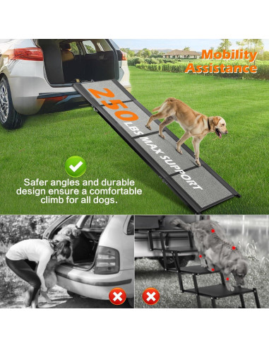 Rampa Plegable para Perros GAOYITK 180cm Antideslizante 113kg