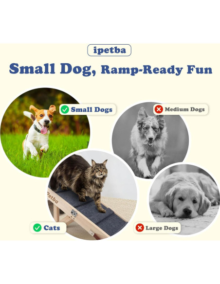 Rampa Plegable para Perros iPetba Ajustable 53.5 cm 16 kg