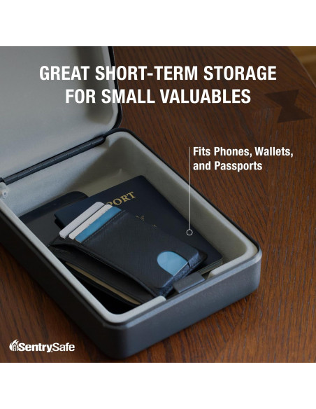 Caja Fuerte Pequeña SentrySafe con Cerradura de Llave - Negra