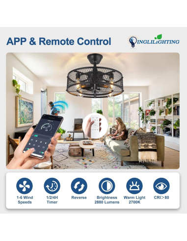 Ventilador de Techo DINGLILIGHTING 20" con Luz y Control Remoto