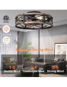 Ventilador de Techo SHLUCE Caged Flush Mount 48cm con Luz 2