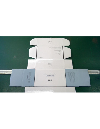 Caja Desinfectante UV-C ENNVA 360 Portátil Rosa 0.79 kg