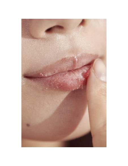 Exfoliante Labial Henné Organics Menta Lavanda 59g Natural