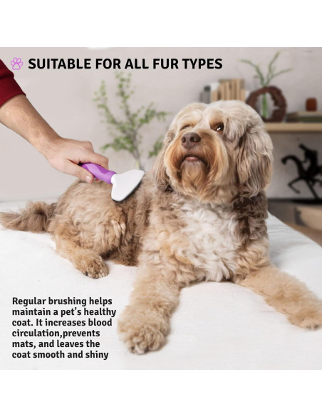 Cepillo Slicker Poodle Pet para Perros y Gatos - 17.8x7.6cm