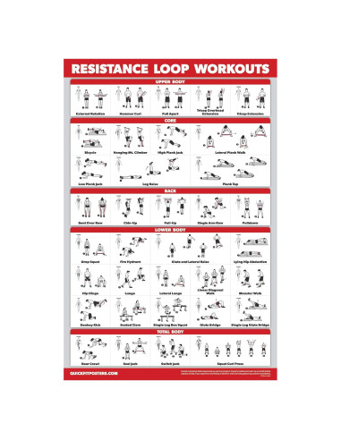 Póster de Ejercicio Laminado QUICKFIT 68.58x45.72 cm