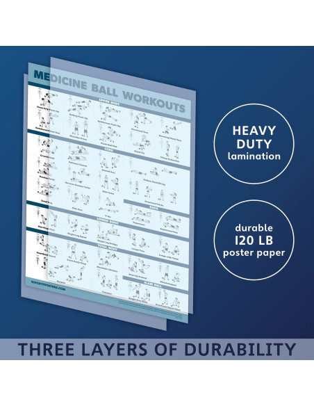 Cartel de Entrenamiento Laminado Palace Learning 60x45 cm Cartel de Entrenamiento Laminado Palace Learning 60x45 cm