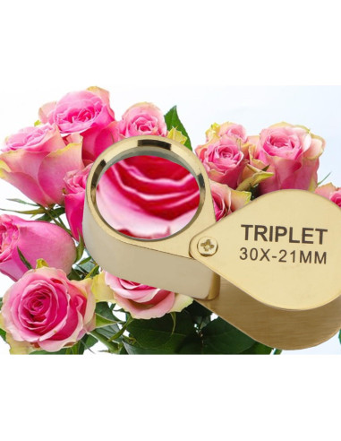 Lupa de bolsillo Rongon 30X con estuche retráctil 21mm