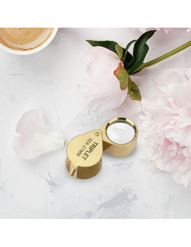 Lupa de bolsillo Rongon 30X con estuche retráctil 21mm