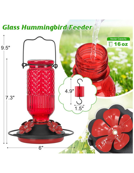 Alimentador de Colibríes de Vidrio Feed Garden 16 oz Rojo
