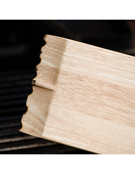 Raspador y Cepillo de Barbacoa Mr. Bar-B-Q Madera Premium