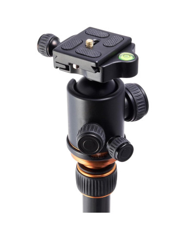 Nivel de Burbuja Circular HARFINGTON 32mm 6pcs Lima