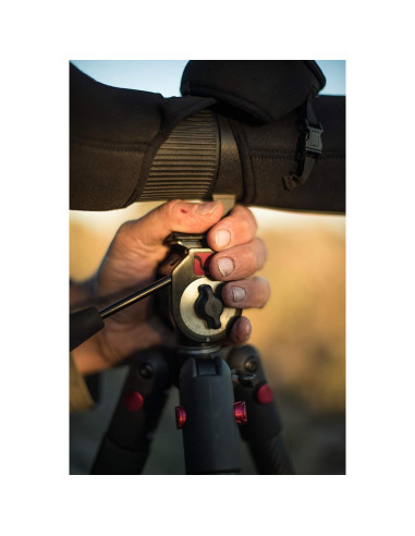 Cabeza de Trípode BOG Great Divide Arca-Swiss 0.45 kg