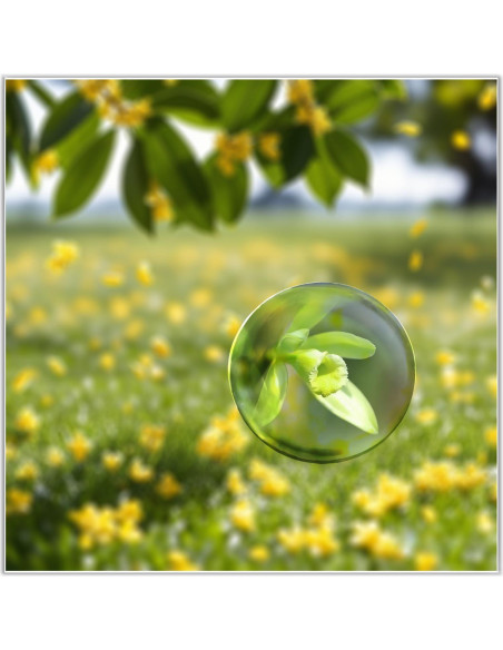 Sujetapapeles de Cristal Bluwtpoclan 4 Pcs 4.8 cm Aumentadores