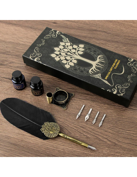 Juego de Caligrafía TIANREN con Pluma de Ave y Tinta