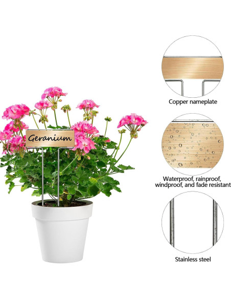 33 Estacas de Jardín de Acero Galvanizado CENNSIOQP con 2 Bolígrafos