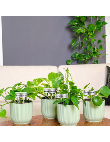 50 Etiquetas de Plantas de Metal LOSYHU con 2 Bolígrafos