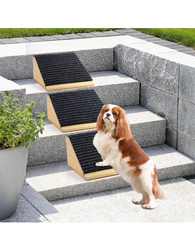 Rampa Antideslizante para Perros In Hand - 4 Paquetes, 30x26 cm