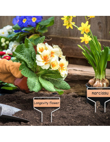 50 Etiquetas de Cobre para Plantas APACALI 10 cm Reutilizables