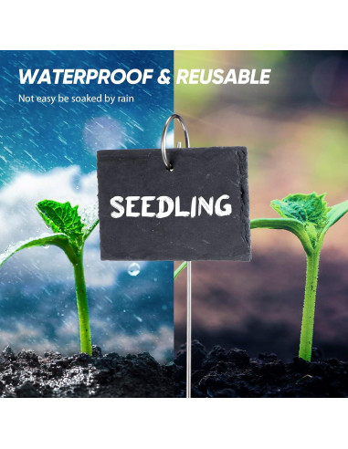 Etiquetas para Plantas LEIFIDE 24 Piezas Reutilizables