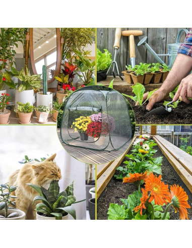 Cubierta Invernadero Pop Up Hkvoxim 99x99x99cm PVC Transparente