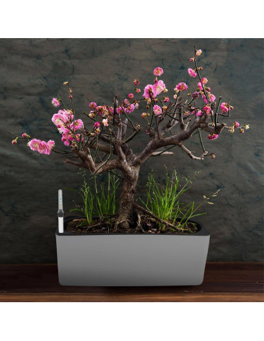 Medidores de Nivel de Agua para Plantas GANAZONO 2 Pcs