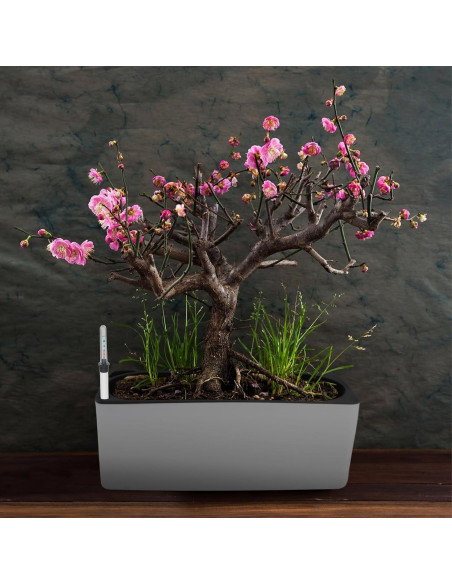 Medidores de Nivel de Agua para Plantas GANAZONO 2 Pcs