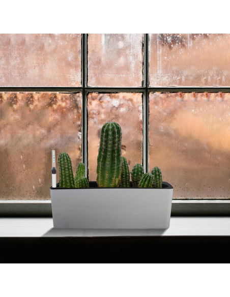 Medidores de Nivel de Agua para Plantas GANAZONO 2 Pcs