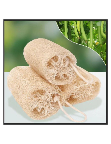 Esponja de Lufa Natural ShunQing 15.24 cm para Cocina y Baño
