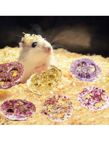 Juguetes Masticables de Lufa Orgánica FiveBull para Mascotas