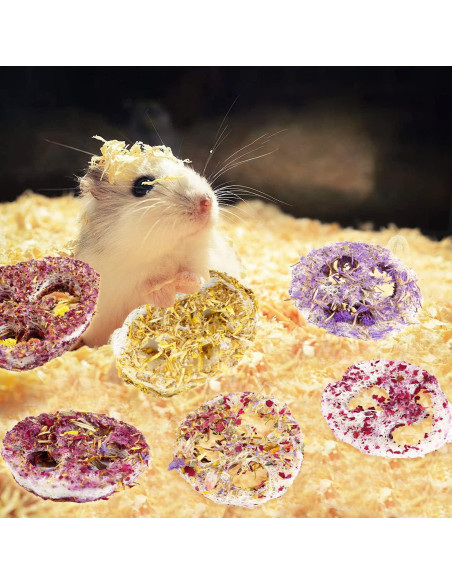 Juguetes Masticables de Lufa Orgánica FiveBull para Mascotas