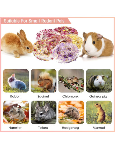 Juguetes Masticables de Lufa Orgánica FiveBull para Mascotas