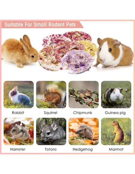 Juguetes Masticables de Lufa Orgánica FiveBull para Mascotas