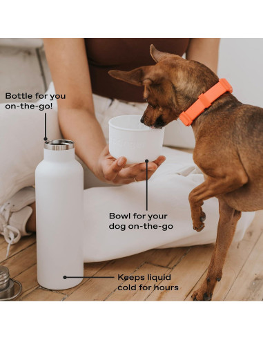 Botella de Agua Aislada Springer 710ml para Perros y Dueños