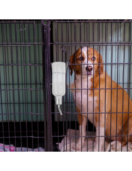Botella de Agua para Mascotas POPETPOP 25cm Sin Goteo