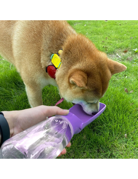 Botella de Agua Plegable WePet 350ml para Perros a Prueba de Fugas