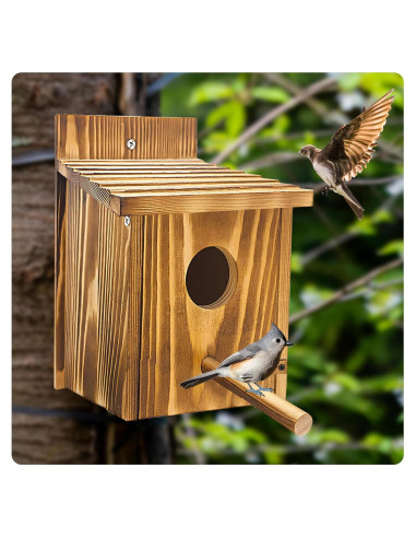 Casa para pájaros de madera KWISAMR con percha desmontable