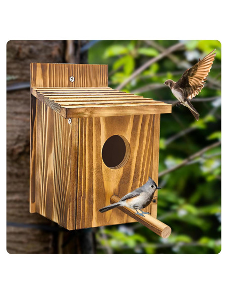 Casa para pájaros de madera KWISAMR con percha desmontable