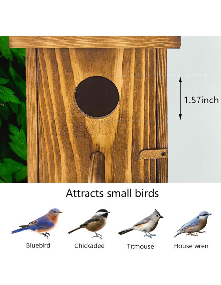 Casa para pájaros de madera KWISAMR con percha desmontable