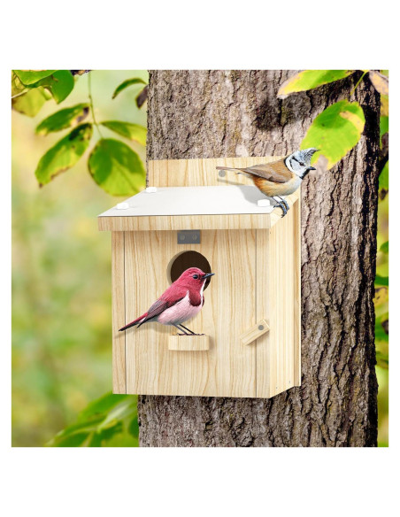 Casa para Aves Chuiendi de Madera Impermeable 15x15x22 cm