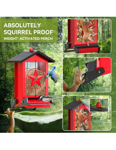 Comedero para Aves Buteafly a Prueba de Ardillas 2.27kg 2