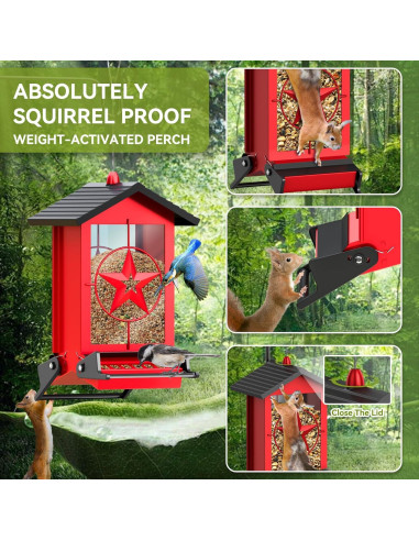 Comedero para Aves Buteafly a Prueba de Ardillas 2.27kg